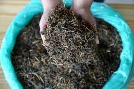 के पाइन्छ सिन्की-गुन्द्रुकमा ? 2 gundruk