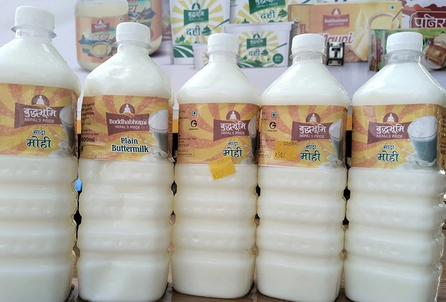 कपिलवस्तुमा मोहीको व्यावसायिक उत्पादन 7 mohi