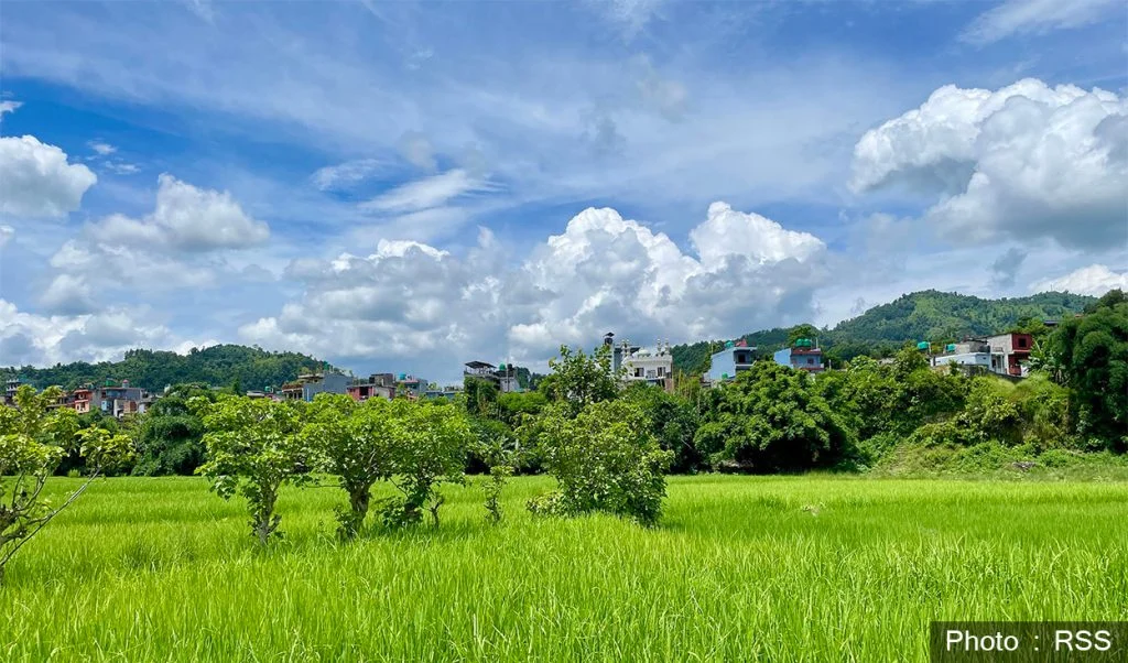 Weather Cloud Paddy 1024x602 1